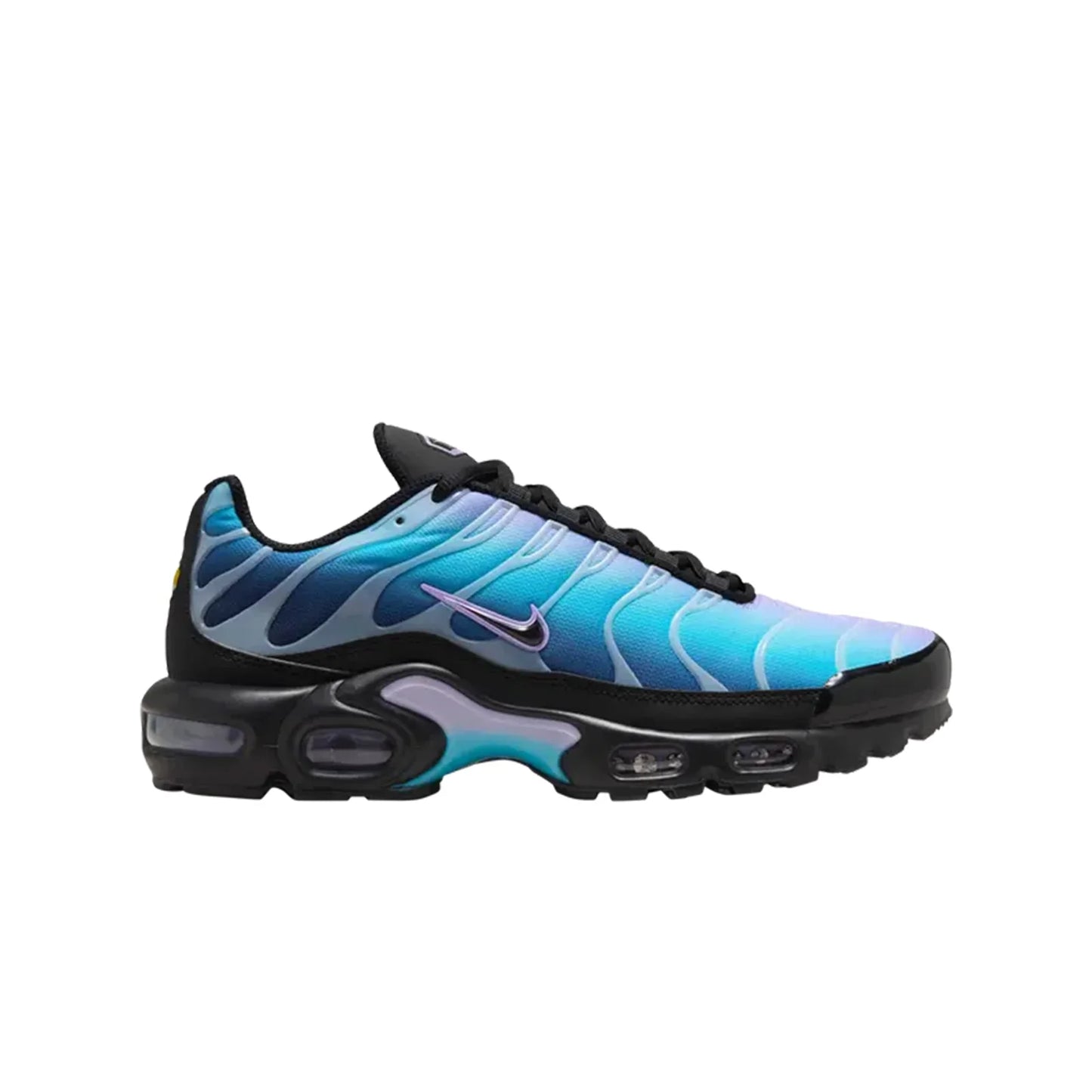 Nike Air Max Plus TN Black Hydrangeas