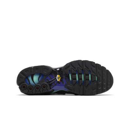 Nike Air Max Plus TN Unity