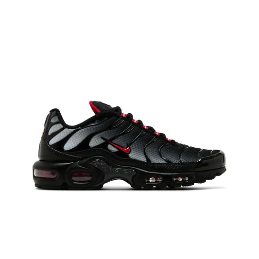 Nike Air Max Plus TN Dracula