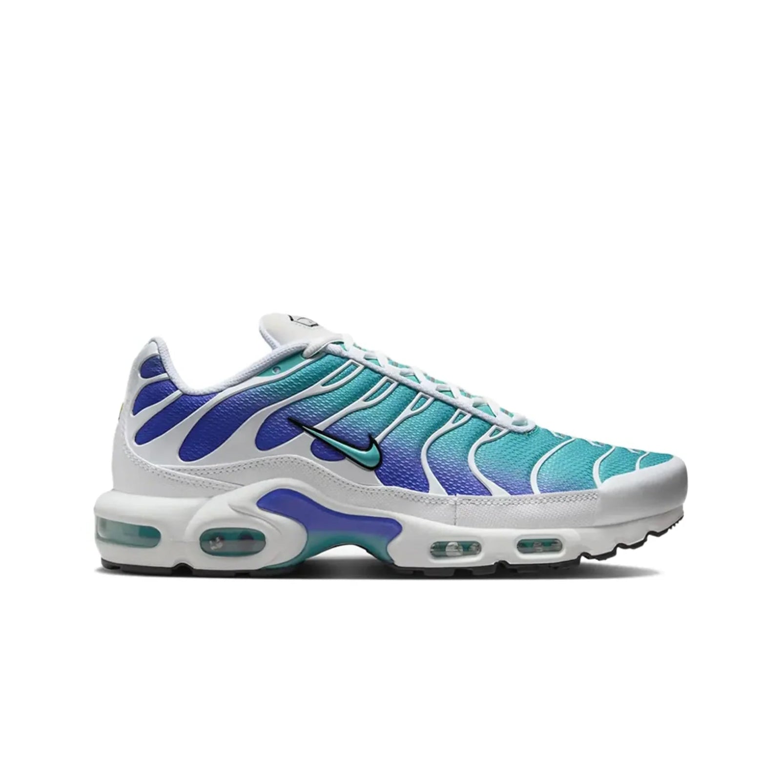 Blue and white sneaker on a white background