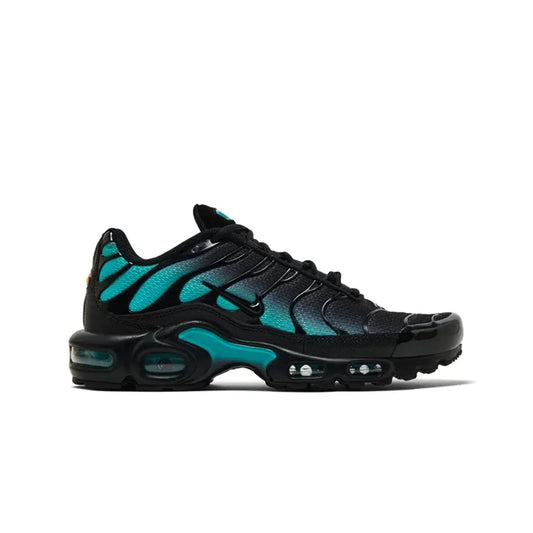 Nike Air Max Plus TN Black Dusty Cactus