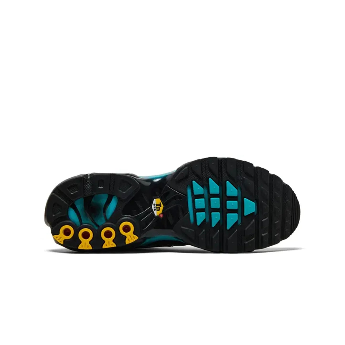 Nike Air Max Plus TN Black Dusty Cactus