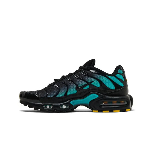 Nike Air Max Plus TN Black Dusty Cactus