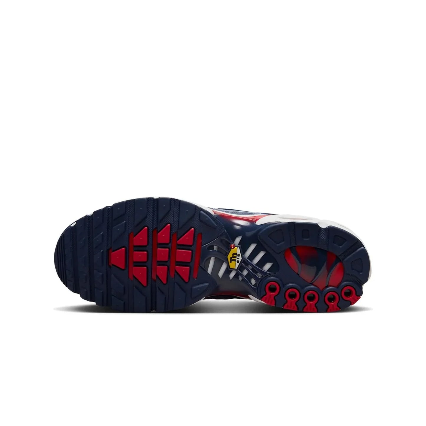 Nike Air Max Plus TN Eclair