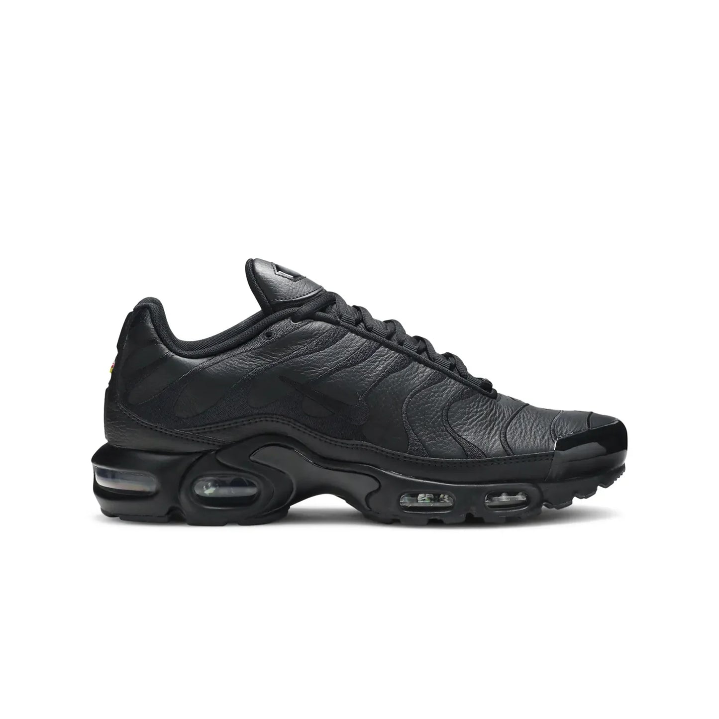 Nike Air Max Plus TN Triple Black Leather