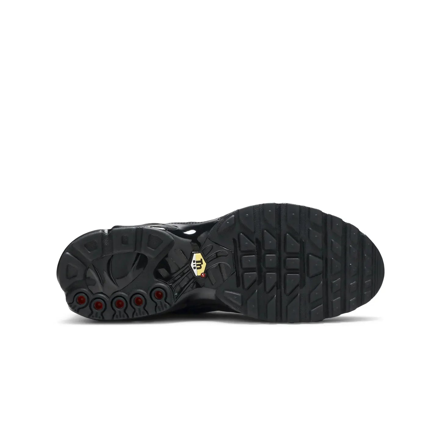 Nike Air Max Plus TN Triple Black Leather