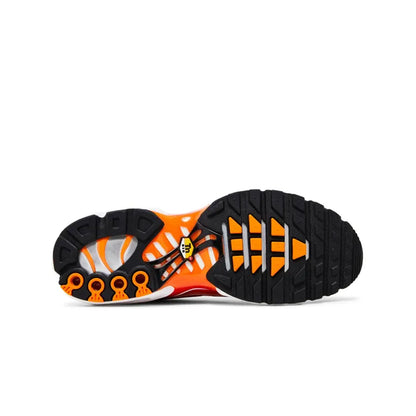 Nike Air Max Plus TN Light Photography Sport Red